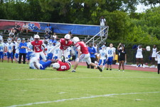 Enlarge photo 315