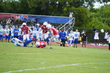 Enlarge photo 316