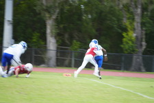 Enlarge photo 321