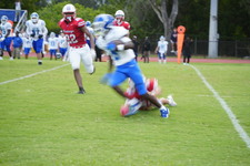 Enlarge photo 336
