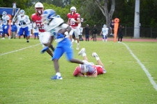 Enlarge photo 337
