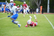 Enlarge photo 338