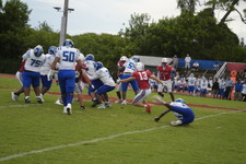 Enlarge photo 386