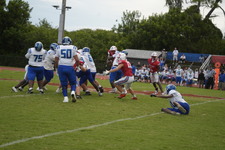 Enlarge photo 388
