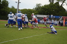 Enlarge photo 389