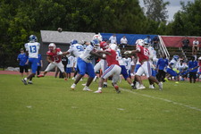 Enlarge photo 445