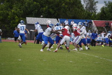 Enlarge photo 447