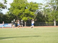 Enlarge photo 215
