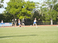 Enlarge photo 217