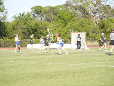 Enlarge photo 226