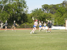 Enlarge photo 229