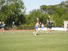 Enlarge photo 231
