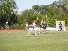 Enlarge photo 233