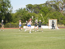 Enlarge photo 234