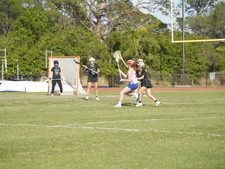 Enlarge photo 245