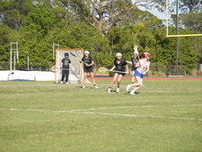 Enlarge photo 251