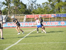 Enlarge photo 475