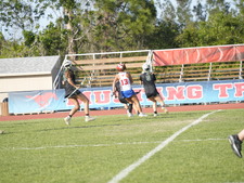 Enlarge photo 537