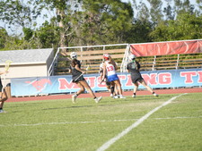 Enlarge photo 538