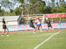 Enlarge photo 539
