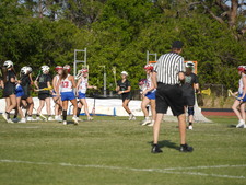 Enlarge photo 548
