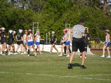 Enlarge photo 549