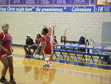 Enlarge photo 276