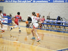 Enlarge photo 398