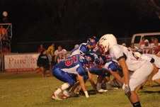 Enlarge photo 59