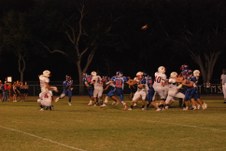 Enlarge photo 117