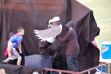 Enlarge photo 141