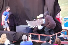 Enlarge photo 142