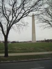 Enlarge photo 175