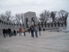 Enlarge photo 195