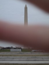 Enlarge photo 206