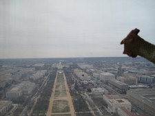 Enlarge photo 322