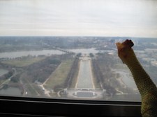 Enlarge photo 324