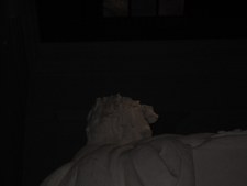 Enlarge photo 532