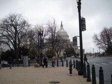 Enlarge photo 68