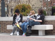 Enlarge photo 43