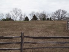 Enlarge photo 48