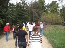 Enlarge photo 59