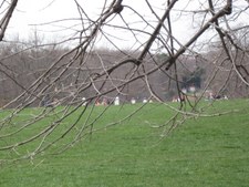 Enlarge photo 80