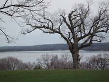 Enlarge photo 89