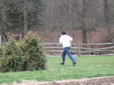 Enlarge photo 119