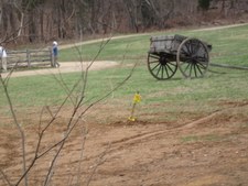 Enlarge photo 125