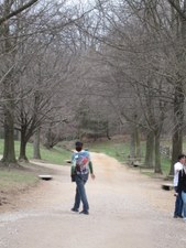 Enlarge photo 126