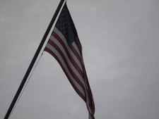 Enlarge photo 145