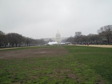 Enlarge photo 85