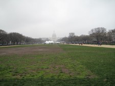 Enlarge photo 86